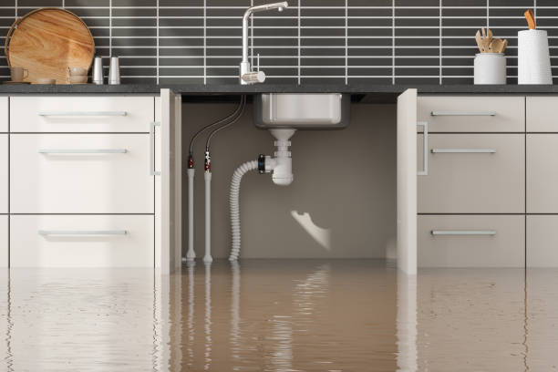 Trusted Water Damage Restoration in Cape Girardeau, MO | Fast, Reliable, and Ready to Assist You